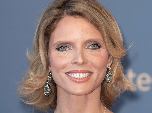 Sylvie Tellier maman de trois enfants : l'ancienne Miss dévoile son ventre arrondi sur le tapis rouge du Festival de Cannes...