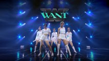 [스트릿 우먼 파이터] Eat You Up + Better - 원트(WANT)