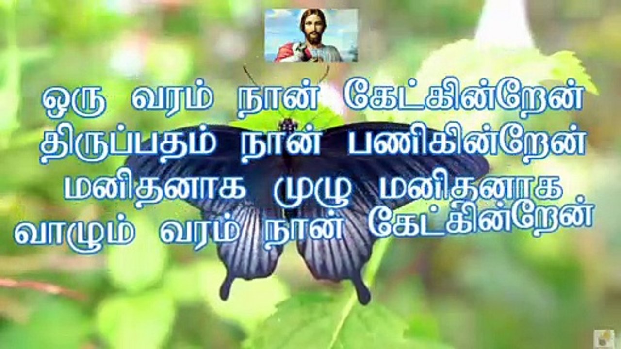 WhatsApp Status | ஒரு வரம் நான் கேட்கின்றேன் பாடல் வரிகள் | Oru Varam Naan Ketkeren Song Lyrics