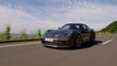 The new Porsche 911 GT3 with Touring Packet in Silver Driving Video