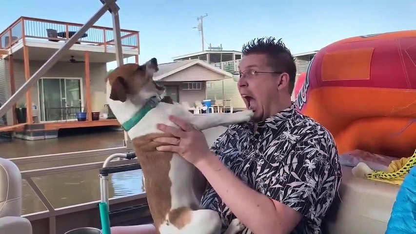 Funny Animals Reaction- Try Not To Laugh Dogs With Baby - Funny Video