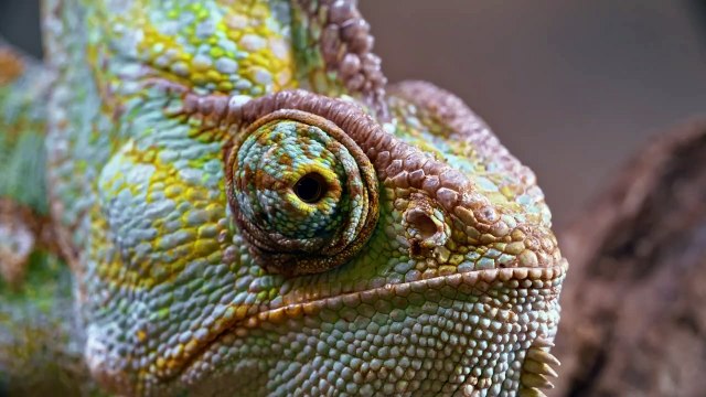 4K Videos _ Collection of World's nature UltraHD (120 FPS)