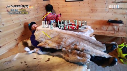 세계테마기행 - 아틱 로드- 순백의 판타지, 그린란드_#002