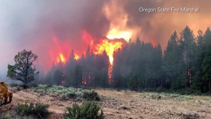 Incêndios florestais nos EUA e Canadá