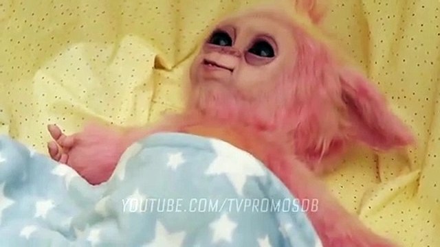 DC's Legends of Tomorrow Season 6 Episode 10 Promo Bad Blood (2021)