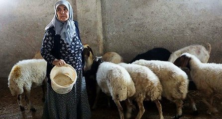 ‘Kadınsın yapamazsın’ dediler, kendi çiftliğini kurdu