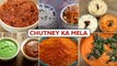 Chutney Ka Mela | How To Make Tasty Chutney | Different Types Of Chutney | Chutney Recipe In Hindi