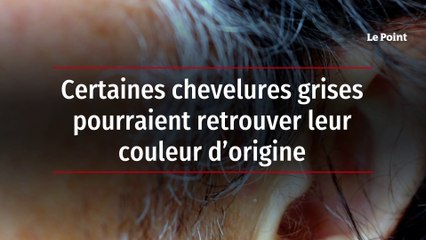 Certaines chevelures grises pourraient retrouver leur couleur d’origine