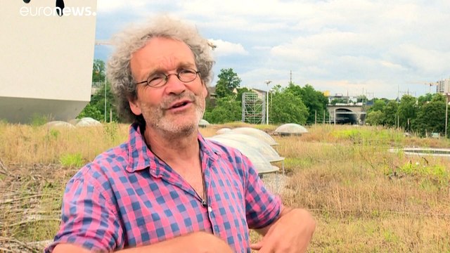 Базель совершенствует зеленые крыши