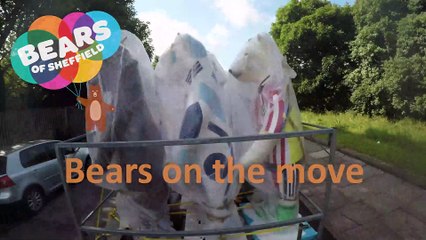 Bears of Sheffield installation time-lapse video