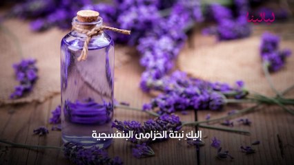 غسول الخزامى للمنطقة الحساسة: فوائده وطريقة استخدامه