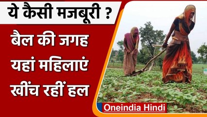 Madhya Pradesh: Agar Malwa में बैल की जगह हल खींचने को मजबूर महिलाएं | वनइंडिया हिंदी