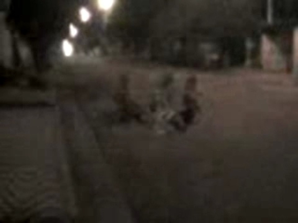 bolishe humano . q