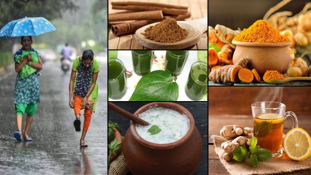 How To Protect Yourself From Common Monsoon Diseases || Boldsky Telugu