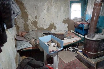 Barakada yaşayan vatandaş, bir lokma ekmeğini 36 kedi ile paylaşıyor