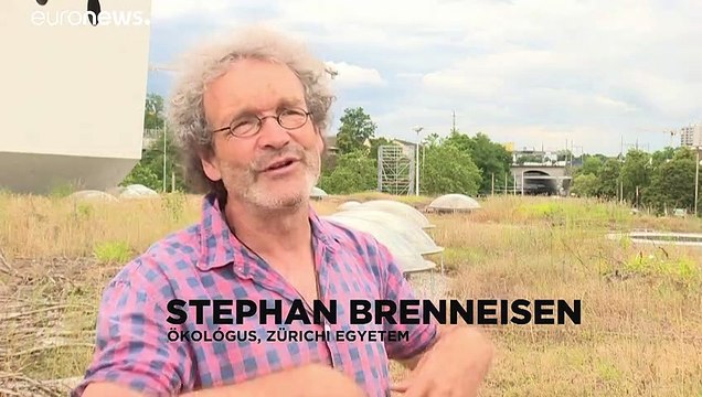 Tetőkertekkel a klímaváltozás ellen Bázelban