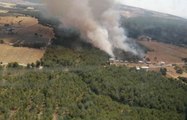 Son dakika haberi... İzmir'in Bornova ilçesinde çıkan orman yangını kontrol altına alındı