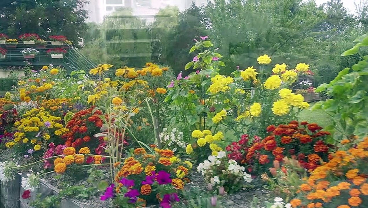 Promenade sur la Somme