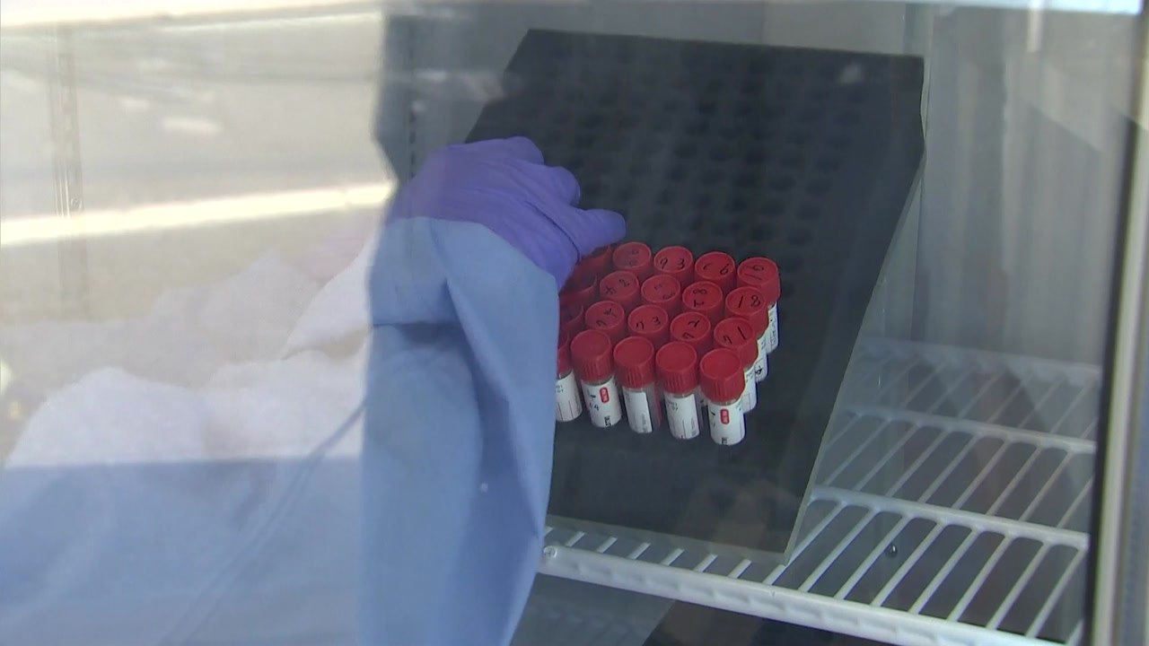 일요일 역대 최다 확진 1,100명...지난주보다 확진자 1.5배 증가 / YTN