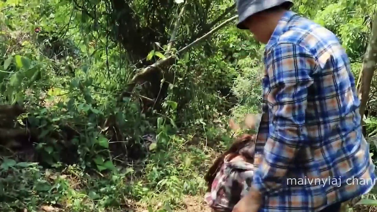 200.New Movie short mus muab ntsaum qaub laib muab mob tsaub