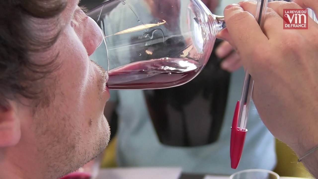 Quelles différences entre les millésimes 2018 et 2019 dans le Rhône Sud ?