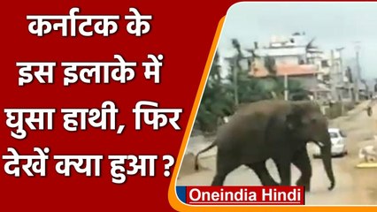 Karnataka के Chikmagalur में Coffee Curing area में घुसा हाथी, मचाय हाहाकार । वनइंडिया हिंदी