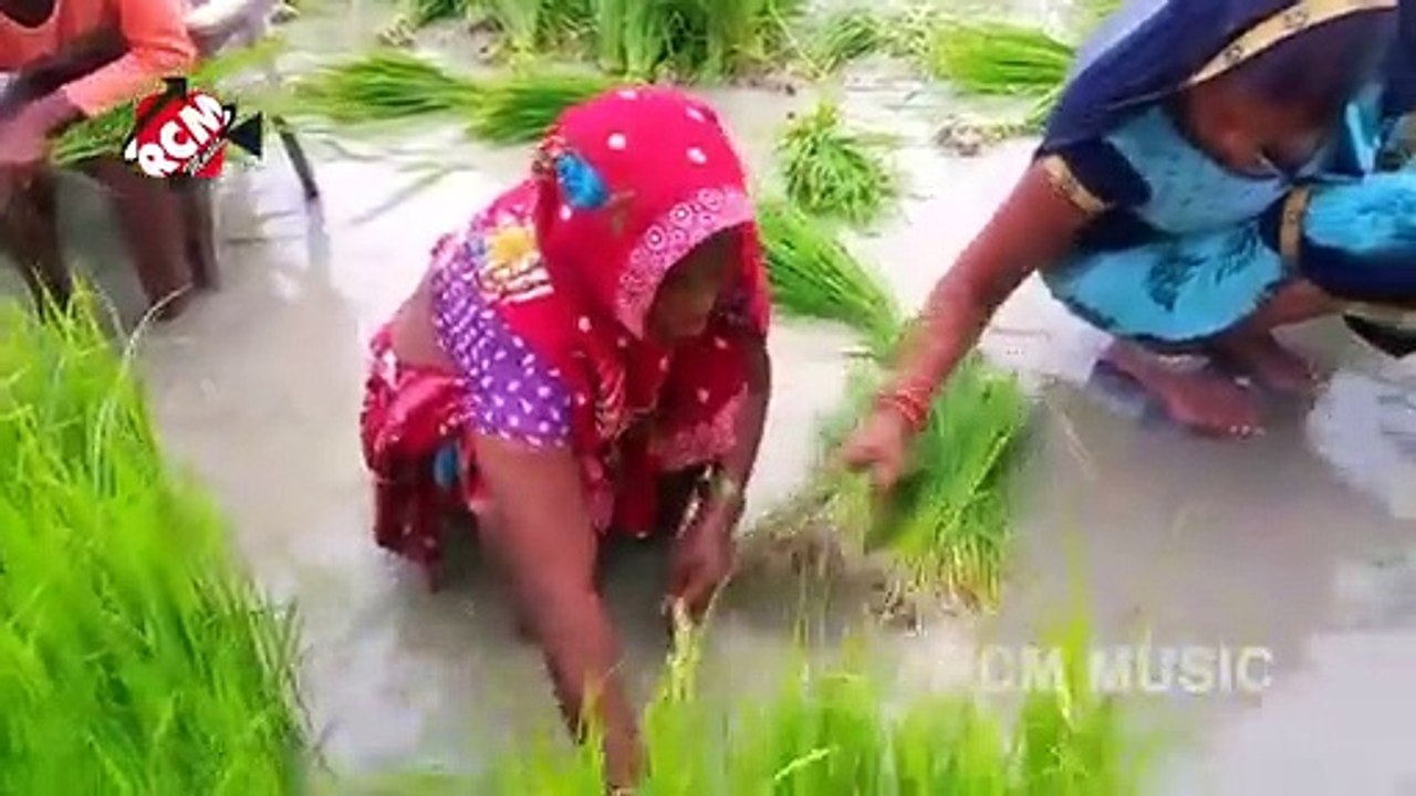 @video_2021 आ गया अवधेश प्रेमी यादव का नया धमाकेदार धान रोपनी स्पेशल वीडियो __ ध