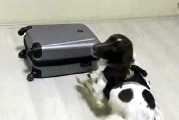 DENİZLİ'DEKİ UYUŞTURUCU OPERASYONUNDA 7 TUTUKLAMA