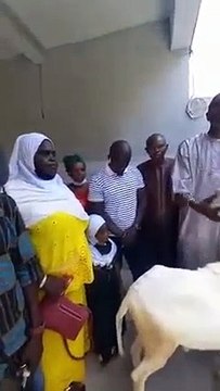 Tabaski : Pastef international offre un mouton à Ousmane Sonko