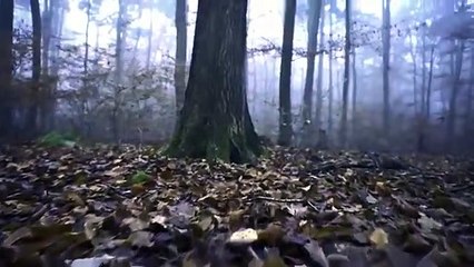 يامن تضيع صلاة الفجر !! إسمع كم ضيعت ' ( شيخ - سعد العتيق )