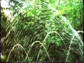 Giorgio Beverly Hills parfum