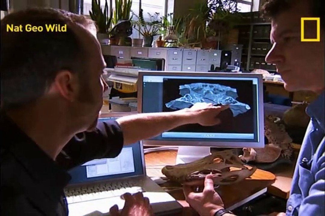 NATIONAL GEOGRAPHIC - CROCODILOS COMEDORES DE DINOSSAUROS