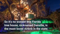 This Whimsical Florida Tree House Is One of the State's Most Popular Airbnbs — and It Has Its Own Tree Trunk Elevator
