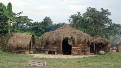 TO FALL OFF THE HORSE Trailer