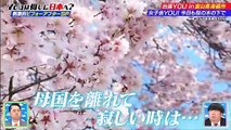 miomio 全 画面 - miomio サイトスクリプト ー   - YOUは何しに日本へ？ 動画 9tsu   2021年07月12日