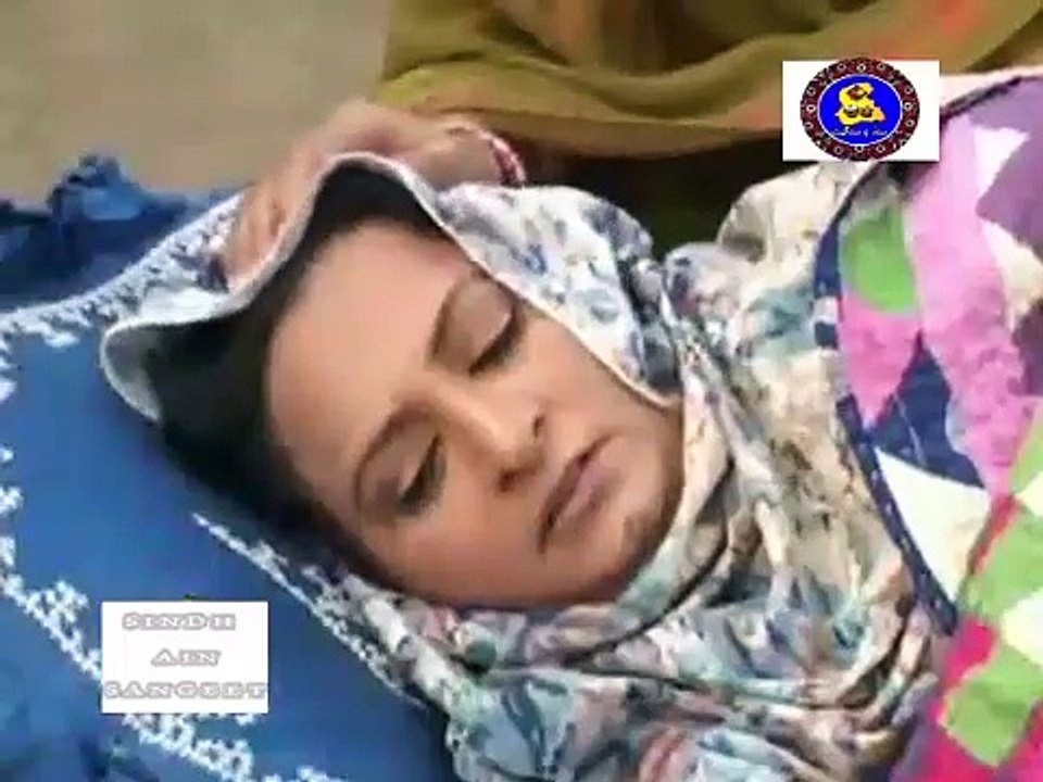 Pahinja Parawa Episode 2 | پنھنجا پراوا قسط 2 | Sindhi Drama Serial | Sindhi Soap Serial Dramas