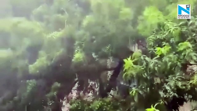 Monsoon arrives in Delhi after a long wait, heavy rains in many areas