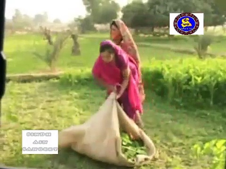 Pahinja Parawa Episode 5 | Sindhi Drama Serial