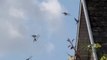 03.House martins - encouraging young to fledge
