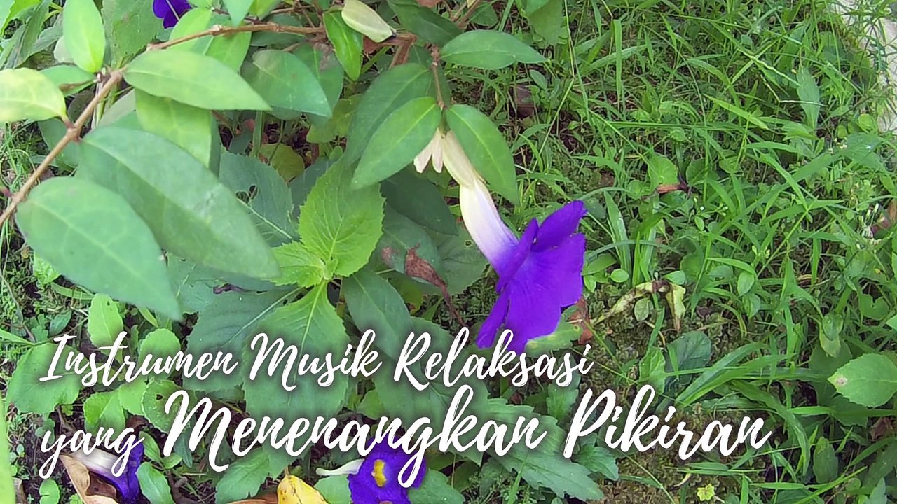 #22 Instrumen Musik Relaksasi yang Menenangkan Pikiran