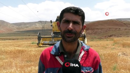 Biçerdövercilerin aylar süren zorlu gurbet mesaisi başladı