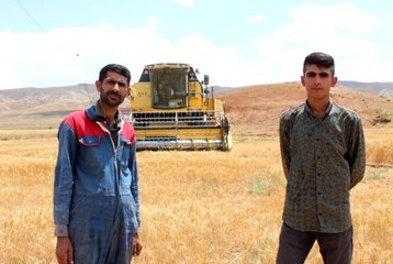 Biçerdövercilerin aylar süren zorlu gurbet mesaisi başladı