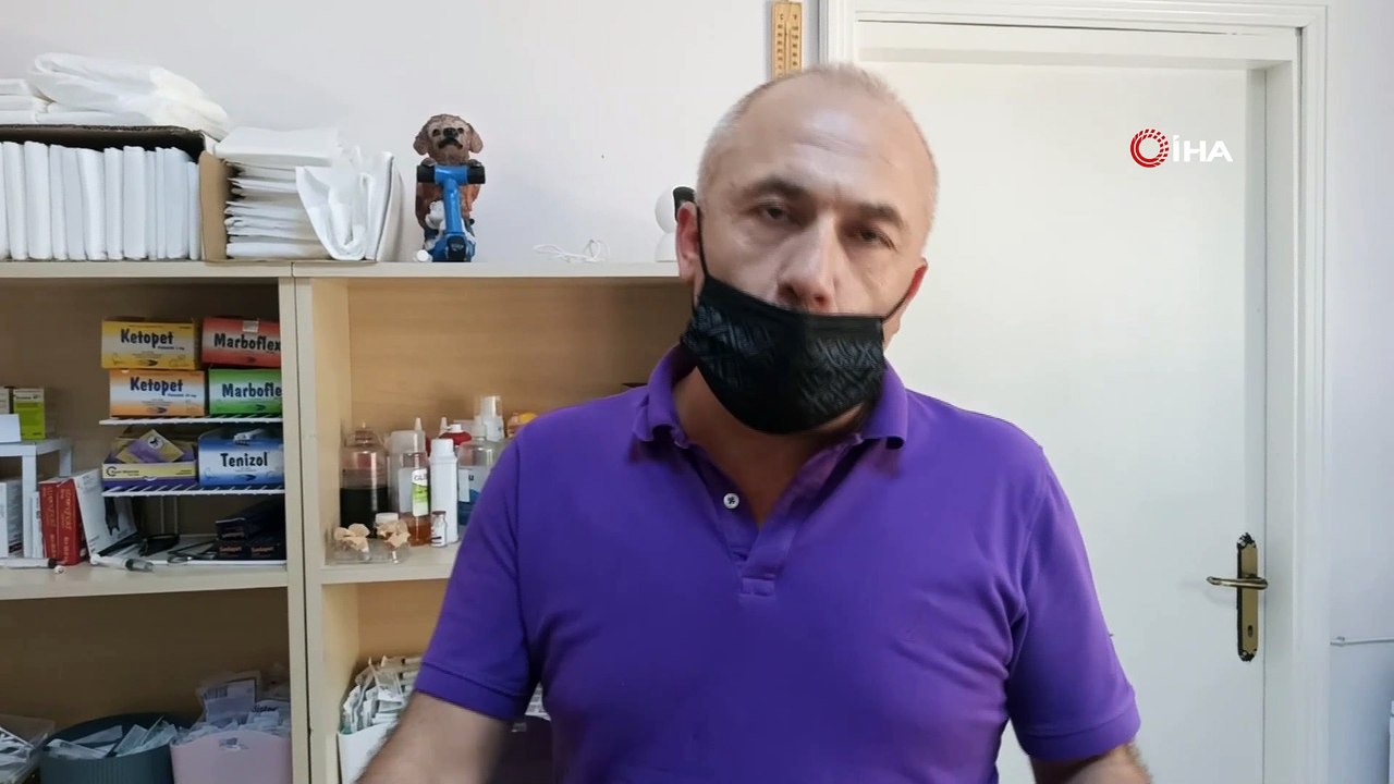 Böbrek yetmezliği teşhisi konulan Mischa’ya kök hücre tedavisi uygulandı