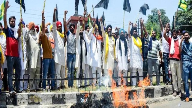 Will farmer's protest turn into political movement? Watch