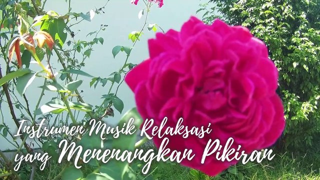 #24 Instrumen Musik Relaksasi yang Menenangkan Pikiran