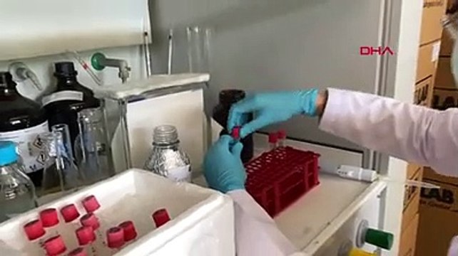 Türk bilim insanları, 6 ülkede 60 yeni tür bakteri keşfetti