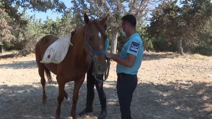 Son Dakika | Sahillerin güvenliği jandarmanın atlı birliklerine emanet