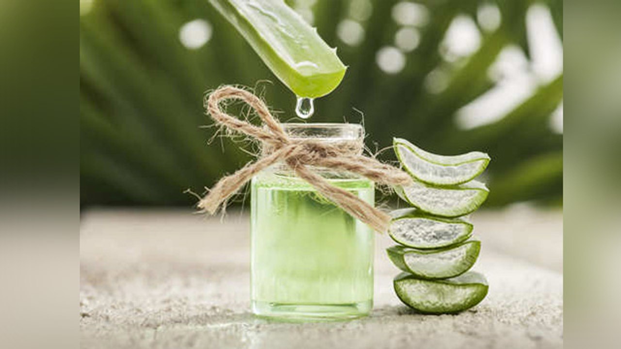 इन लोगों को नहीं करना चाहिए Aloe Vera का सेवन, हो सकती हैं ये परेशानियां | Boldsky