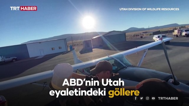 ABD'de göllere havadan binlerce balık bırakıldı