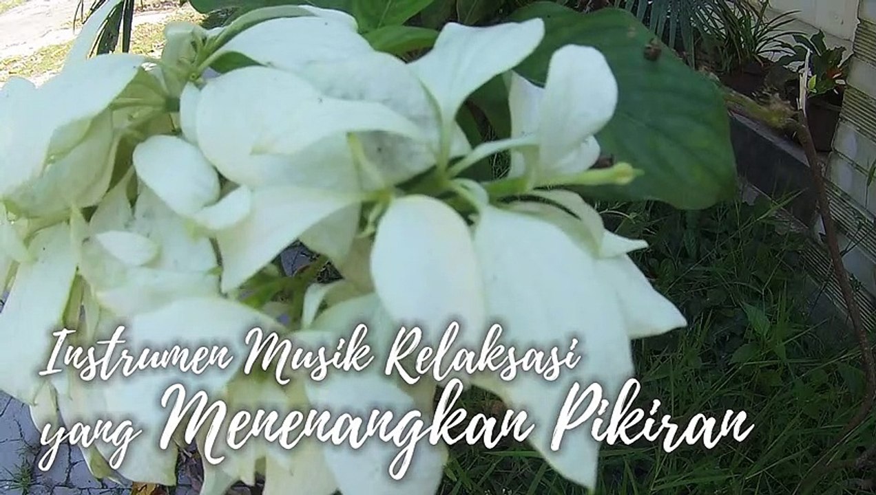 #30 Instrumen Musik Relaksasi yang Menenangkan Pikiran